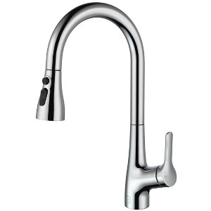 Elegant Lighting Andrea Single Handle Pull Down Sprayer Kitchen Faucet in Chrome - 1 of 4