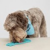 Dexypaws: Enrichment Lick Mat: Happy Bark Day, Grooved Dog Feeding Pad - 3 of 4
