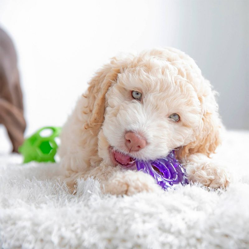 JW Pet Puppy Snail Chew-Ee Dog Toy - Purple, 4 of 5
