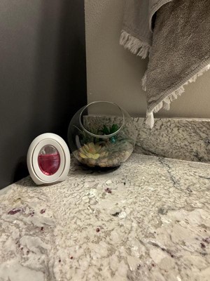 Guest review image 1 of 1, zoom in