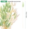 Unique Bargains Artificial Bunny Tails Dried Home Decor Realistic Pampas Grass 17 Inch 120 Pcs - 3 of 4