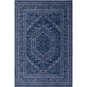 Adirondack ADR108 Non-Shedding Power Loomed Indoor Rugs - Safavieh - 1 of 4