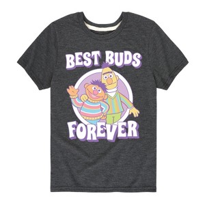 Boys' - Sesame Street - Best Buds Forever Short Sleeve Graphic T-Shirt - 1 of 4