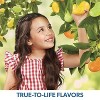 Jelly Belly Sugar Free Assorted Flavors 8.25oz Resealable Bag - 3 of 4