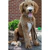 Country Brook Petz Deluxe Nylon Dog Leash, 6 Foot - 4 of 4