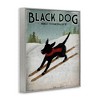 Stupell Industries Black Dog Ski Company Framed Giclee Art, Gray, 16" x 20" - 2 of 4