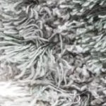 grey/green