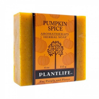 Plantlife Pumpkin Spice Bar Soap – Moisturizing, Soothing, Handcrafted, Plant-Based – Made in California, 4oz