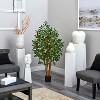 HomeStock  5 ft. Artificial Ficus Tree in Pot for Indoor/Outdoor - 3 of 3