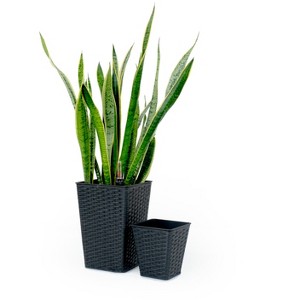 AndMakers CATLEZA Set of 2, Smart Self-Watering Square Eco-Friendly Planters for Indoor and Outdoor - Hand-Woven Wicker - 1 of 4