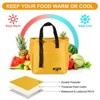 Unique Bargains Insulated Leakproof Thermal Zipper Portable Lunch Bag - 3 of 4