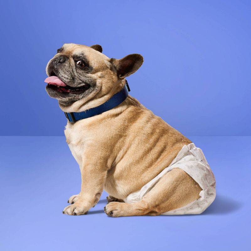 Dog Diapers - 18ct - up & up™, 3 of 6