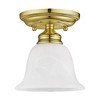 Livex Lighting Essex 1 - Light Flush Mount in  Polished Brass - 4 of 4