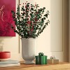 Preserved Holiday Artificial Bundle Red/Green - Threshold™ - 2 of 4