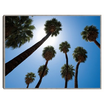 33" x 25" Palm Springs by Inti St. Clair Framed Wall Canvas - Masterpiece Art Gallery