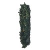 Vickerman Artificial Camdon Fir Collection - image 3 of 4