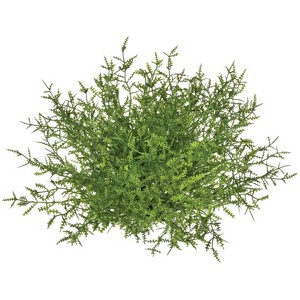 Sullivans Feather Fern Half Orb Decorative Filler - 1 of 3