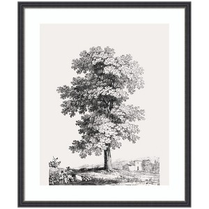 Kate and Laurel Framed Art Jean Victor Bertin Study of a Tree 1816 by The Art Institute of Chicago, 21x25, Stylish Black Narrow - 1 of 4
