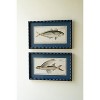 Framed Wall Art, Fish Prints Under Glass 12.5"H – Navy Framed Coastal, Set of Two by Kalalou - 2 of 3