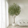DR.Planzen 5-8FT Lush Artificial Olive Tree - UV Resistant Fake Plant with Black Fruits in 7x8" Black Pot for Indoor/Outdoor House & Floor Decor - 3 of 4