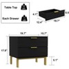 FUFU&GAGA Contemporary Design Two Drawer Nightstand for Bedroom Storage Bedside Dresser - 3 of 4