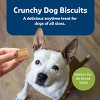 Blue Buffalo Health Bars Natural Crunchy Dog Treats Biscuits with Apple & Yogurt Flavor - 4 of 4