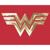 Men's Wonder Woman 1984 Metallic Logo Sweatshirt - 2 of 4