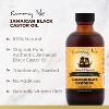 Sunny Isle Jamaican Black Castor Oil Regular (8 oz XL Large) Authentic Jamaica Black Castor Oil | Naturally Vitamin Rich for Hair and Scalp - 2 of 4