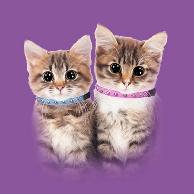 LOST GODS Girl's Lost Gods Cute Kittens T-Shirt - Purple Berry - X Large — фото 2