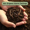 Soil Sunrise Organic Worm Castings, Soil Additive - 4 of 4