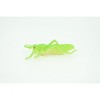 Collectible Wildlife Gifts | Grasshopper,  Rubber Insect, Educational, Realistic Hand Painted,  Model,   Gift,     2 1/2"   US23 B44 - 4 of 4