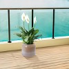 Syemin Planters Set of 2 Gradient Ceramic Flowerpot, Indoor and Outdoor Modern Planter for Patio, Garden, Windowsill, White, 8.46"*8.46"*7.28" - 2 of 4
