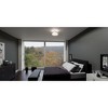 Quoizel Lighting 2 - Light Semi-Flush Mount in  Matte Black - 2 of 4