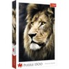 Trefl Lions Portrait Jigsaw Puzzle - 1500pc - 2 of 3