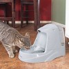 PetSafe Platinum Pet Fountain - 3 of 4