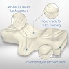 Therapeutica Orthopedic Sleeping Pillow, Helps Spinal Alignment & Neck Support - 3 of 4