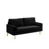 65'' Velvet Minimalist Loveseat Sofa with Metal Legs, Includes Cushions, Suitable for Living Room or Bedroom - 3 of 4