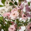 Sullivans Artificial 16.25" Mini Rose Bush Set of 3, Multicolor - 2 of 4