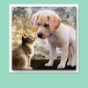 Hamilco White Cardstock Scrapbook Paper 12x12 Heavy Weight 130 lb Cover Card Stock – 25 Pack - 3 of 4