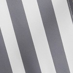 gray striped