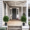 20 Inch Artificial Topiary Ball Tree Set of 2, with Plant Pot, PE Leaves, PVC Pot, Realistic Artificial Plant for Indoor Outdoor, (Without Fruits) - 4 of 4