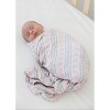 Swaddle | Victorian Whimsy | Charlie Lou Baby - 2 of 4