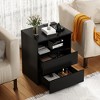 Modern Nightstand with 2 Drawers, Wooden Sofa Side Table for Small Space, Accent End Table for Living Room, Bedroom, Office - 4 of 4