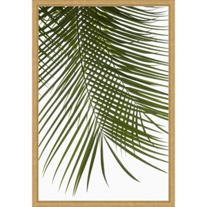 Amanti Art Palm Leaves Foliage Photo IV by Amini54  Framed Canvas Wall Art - 1 of 4