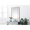 Elegant Lighting French Panel Wall Mirror 30x40 Inch In Brass - 3 of 4