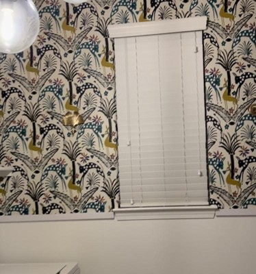 Guest review image 2 of 2, zoom in