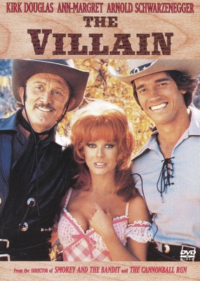 The Villain (DVD)