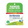 Ambrosia Artemisiaefolia 30C 3 MDT by Boiron Homeopathic Medicine For Ragweed Allergy Relief  -  3 Pack Pellet - 3 of 4