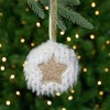 Northlight Star and Christmas Tree Disc Ornaments - 3.5" - Cream and Beige - Set of 2 - 2 of 4