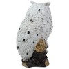 Northlight 6" White Owl Perched on a Branch Outdoor Garden Statue - 4 of 4